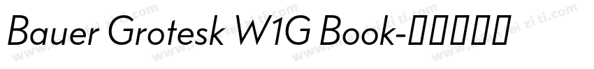 Bauer Grotesk W1G Book字体转换